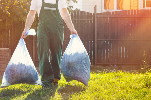 Best Same-Day Junk Removal Services  in Des Plaines, IL